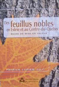 Des feuillus nobles en Estrie et au Centre-du-Québec